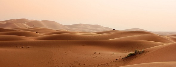 Globální oteplování může Zemi proměnit ve velkou poušť