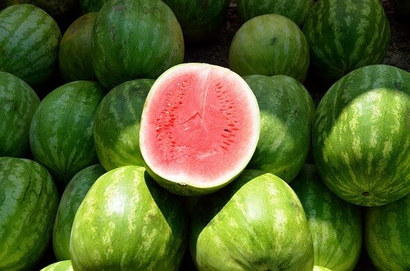 Je meloun ovoce nebo zelenina. Odpověď vás překvapí.