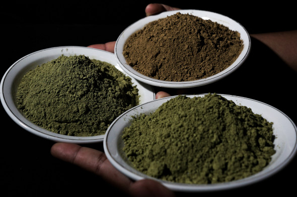 Tabu jménem Kratom