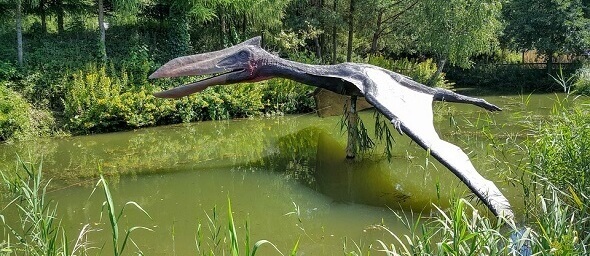 Co byl Pterosaurus