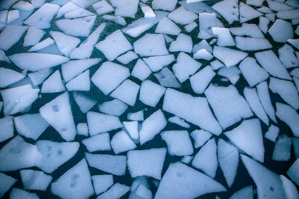 Otužování v ledové vodě