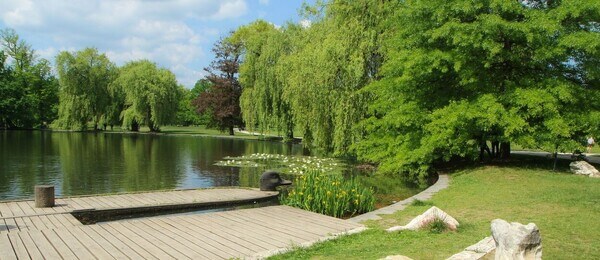 Pražský park Stromovka – Královská obora: Historie, akce, mapa