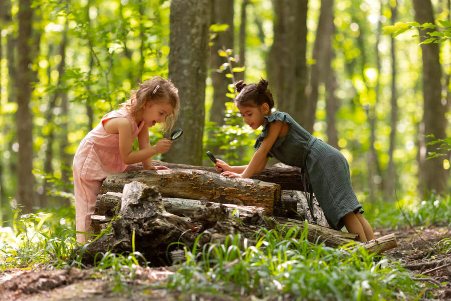 Co je lesní školka pro děti a kolik stojí?
