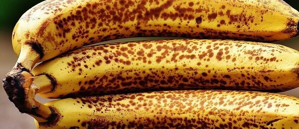 Co udělat s přezrálými banány? Známe ty nejlepší recepty